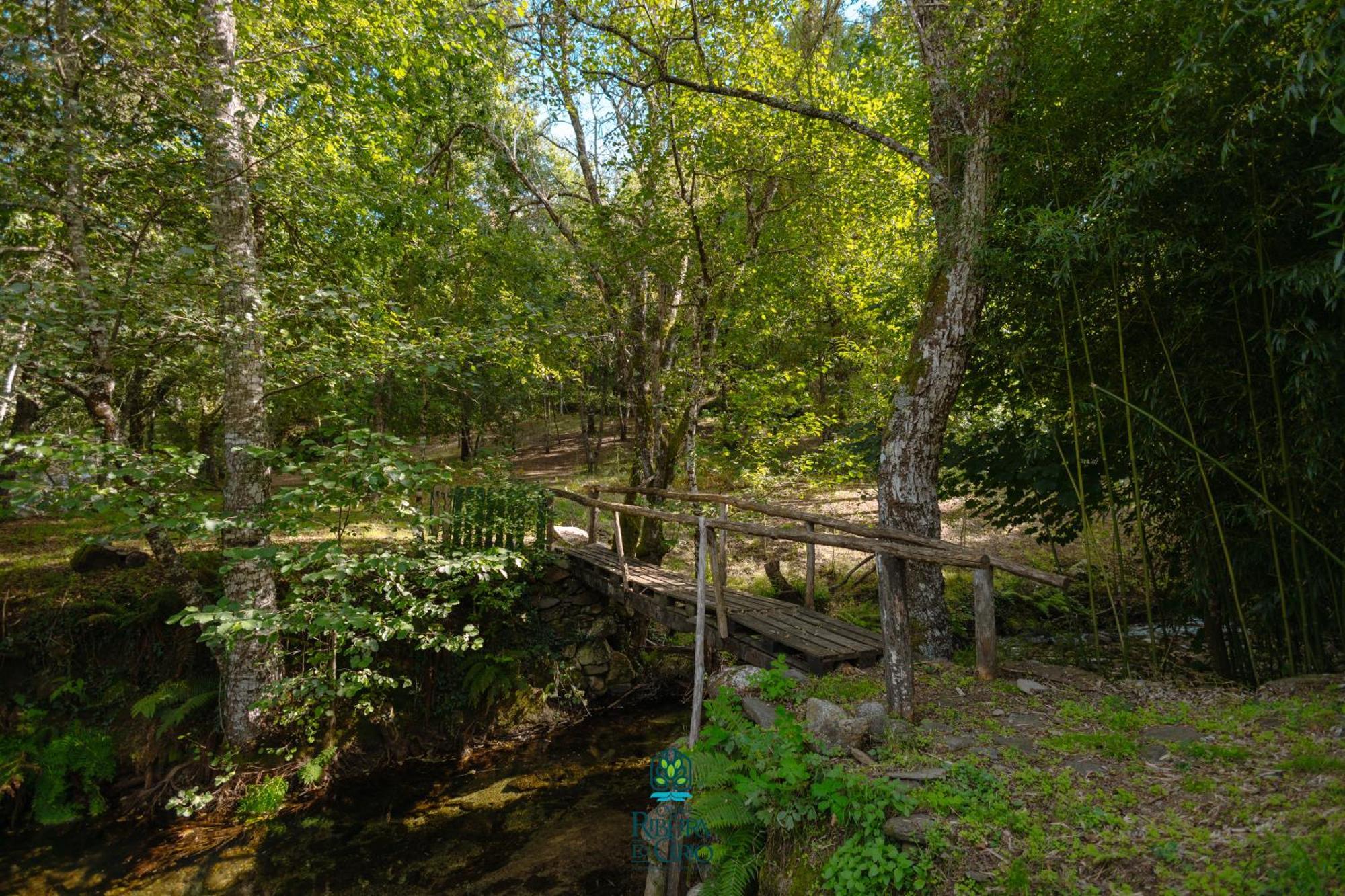 Casa Da Ribeira Do Cirio Pensionat Seia Exteriör bild